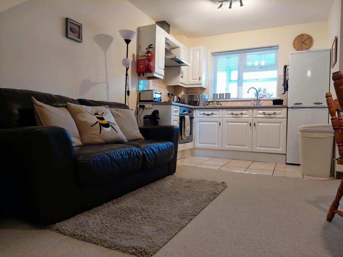 The Beehive - Self Catering In The Heart Of The Forest Of Dean Whitecroft Extérieur photo