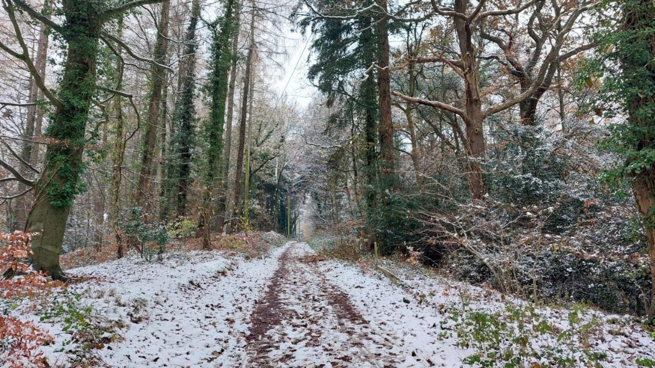 The Beehive - Self Catering In The Heart Of The Forest Of Dean Whitecroft Extérieur photo